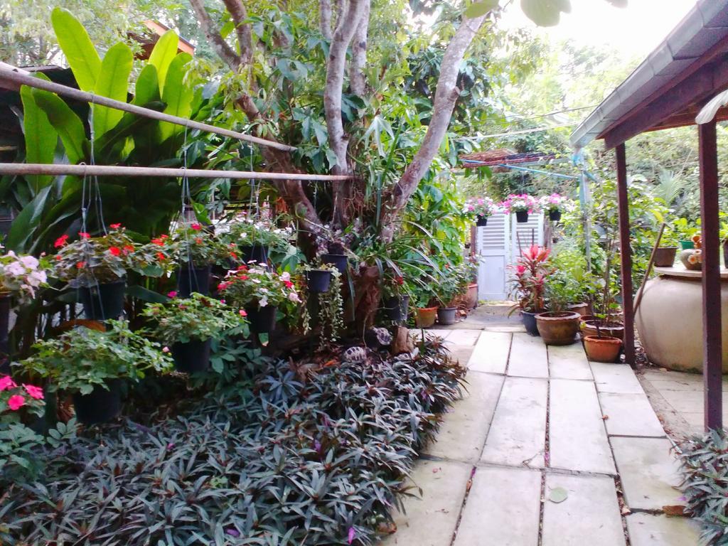 Nr Homestay Amphawa Bagian luar foto